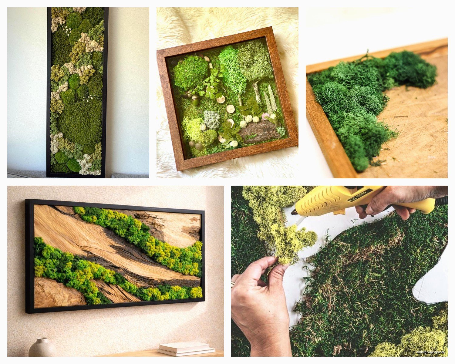 Preserved Moss Wall Art: Living Wall Installations