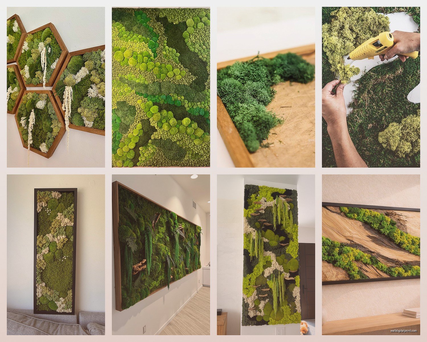 Preserved Moss Wall Art: Living Wall Installations