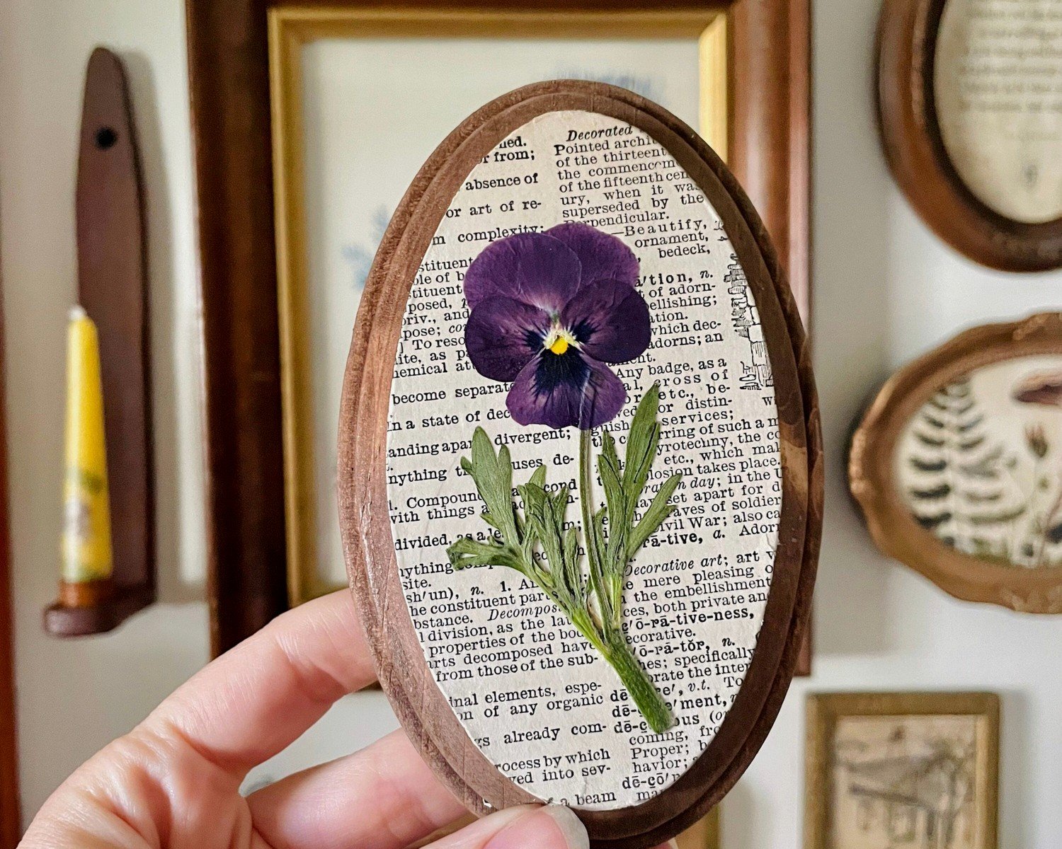 Pressed Botanical Wall Art: Dried Preserved Plant Art