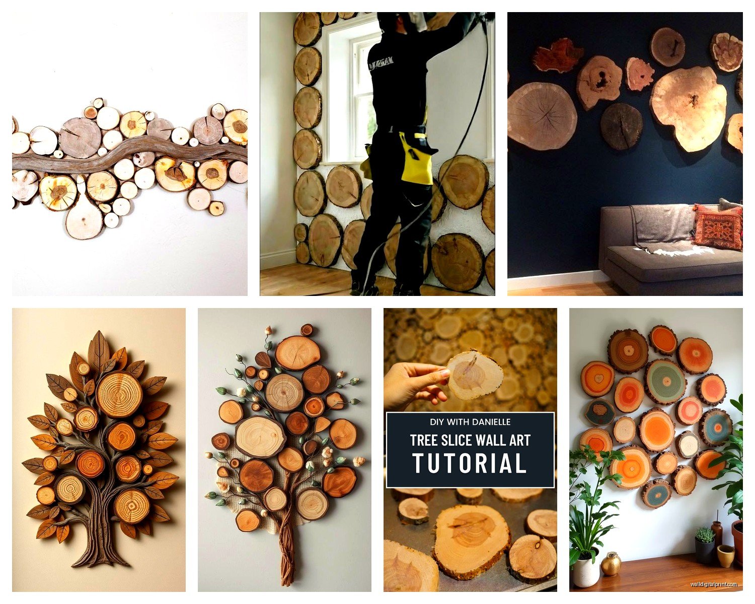 Wood Slice Wall Art: Tree Round Cross-Section Natural