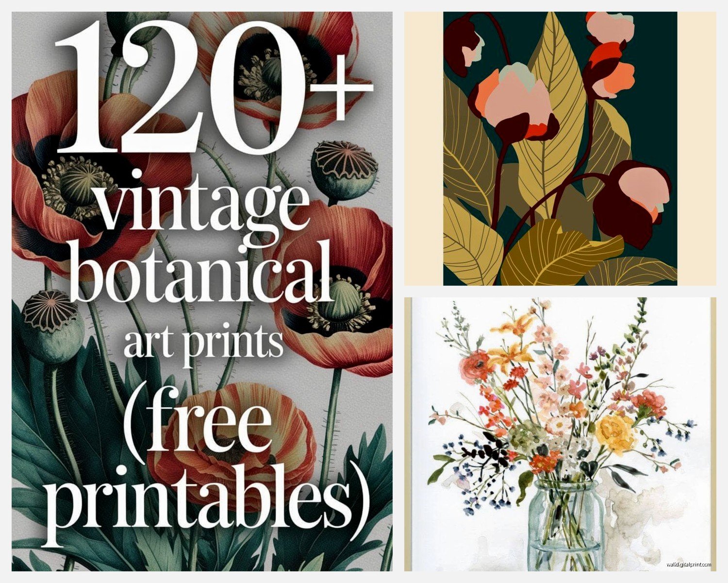 Floral Printable Wall Art: Botanical Free Downloads