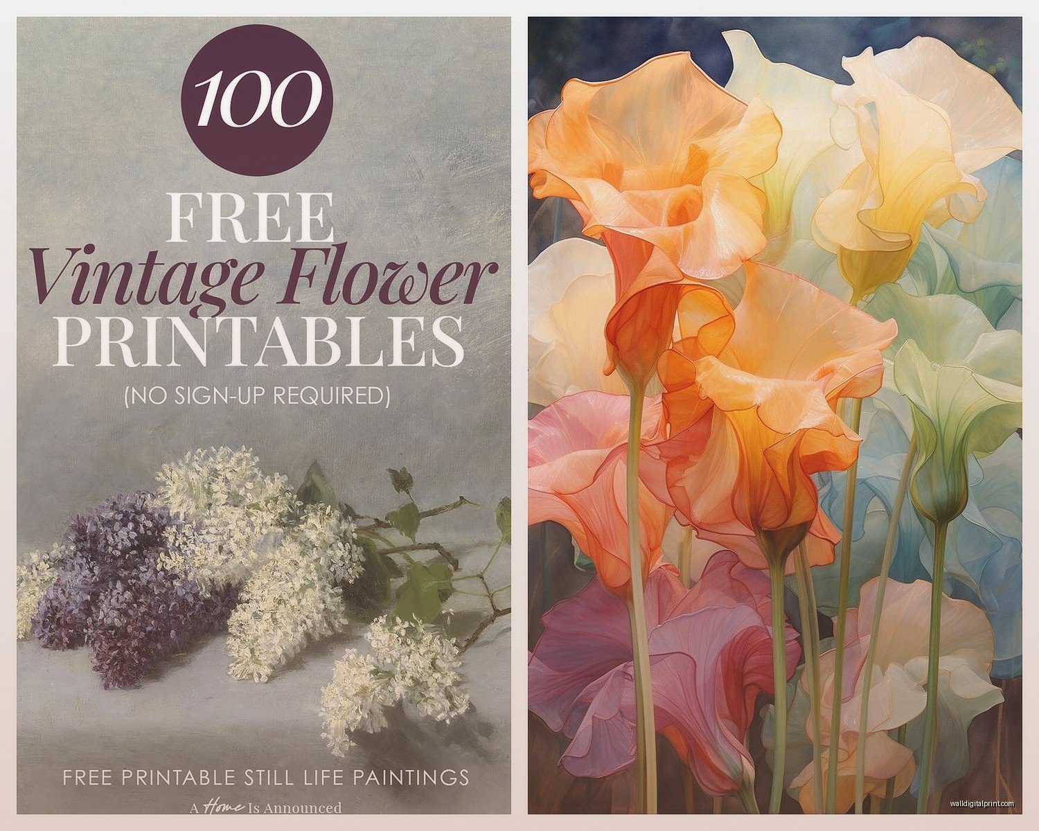 Floral Printable Wall Art: Botanical Free Downloads