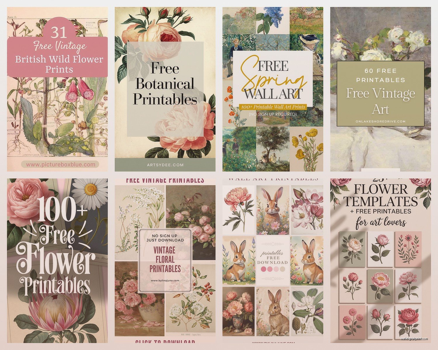 Free Printable Wall Art Flowers: Botanical Downloads