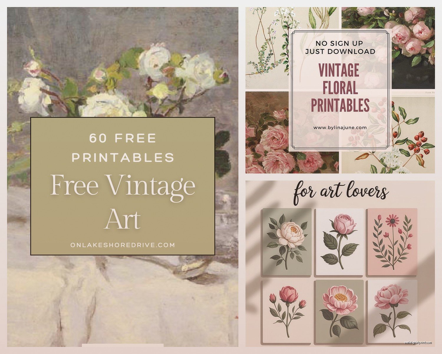 Free Printable Wall Art Flowers: Botanical Downloads