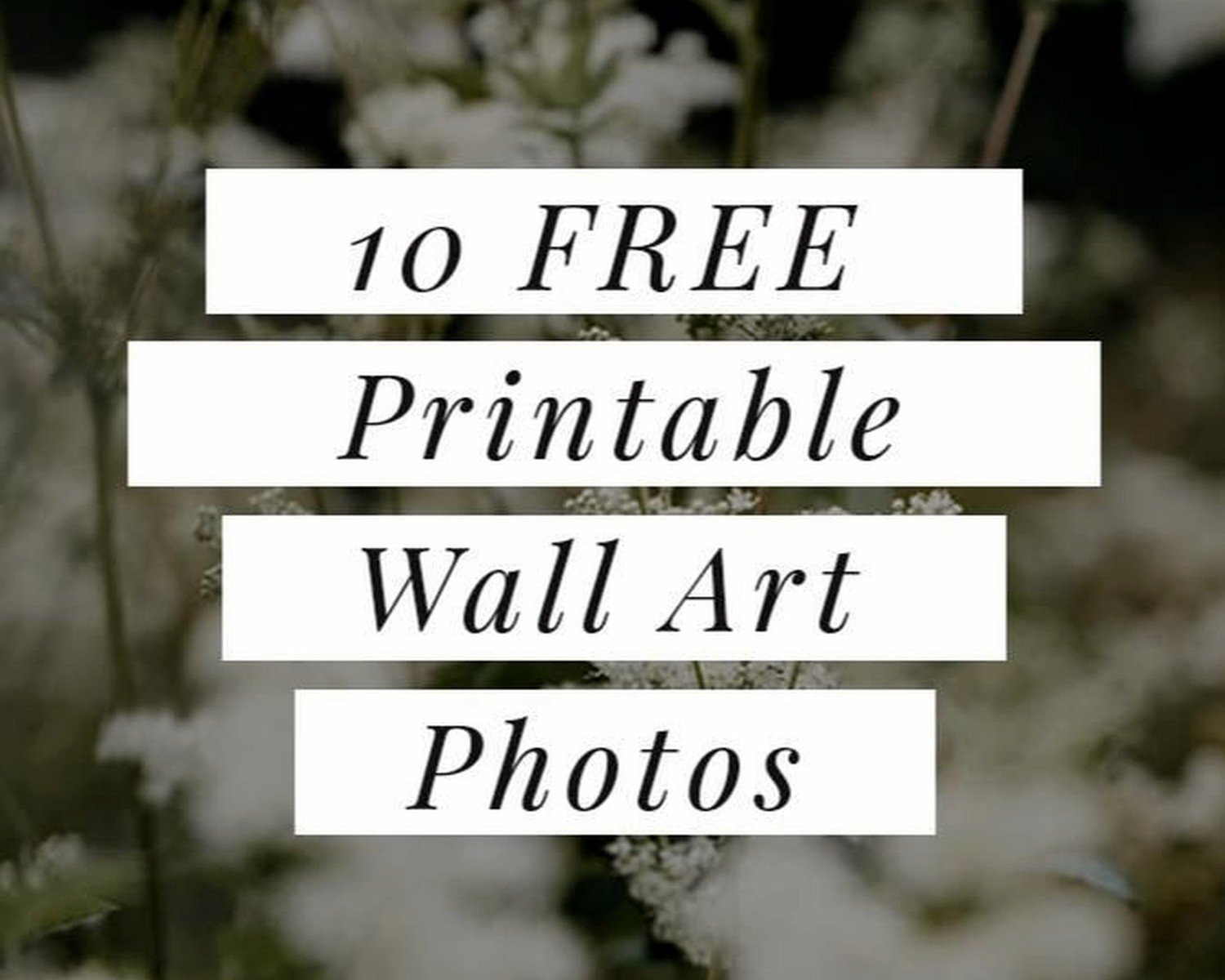 Free Wall Art Prints: No-Cost Downloadable Designs
