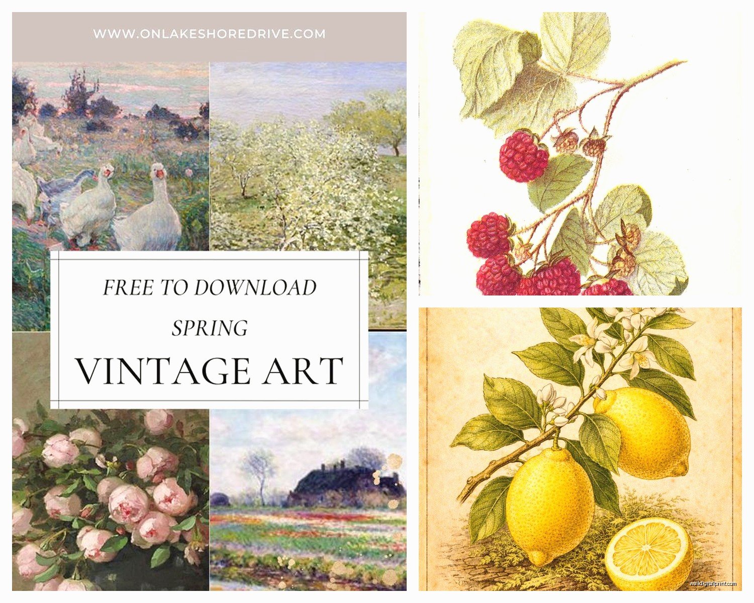 Vintage Wall Art Prints: Retro Antique Style Reproductions