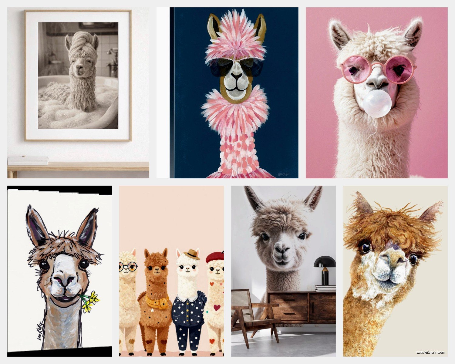 Alpaca Wall Art: Cute Animal & Farm Decor