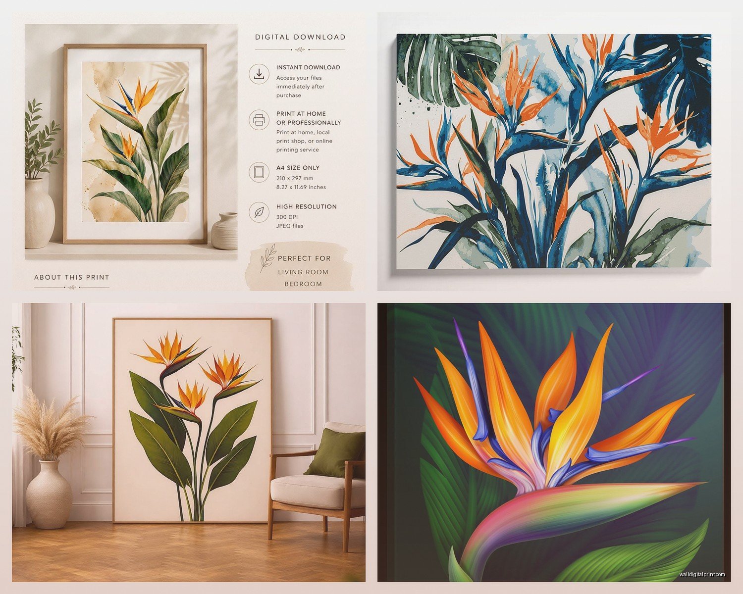 Bird of Paradise Wall Art: Tropical Flower Exotic Decor