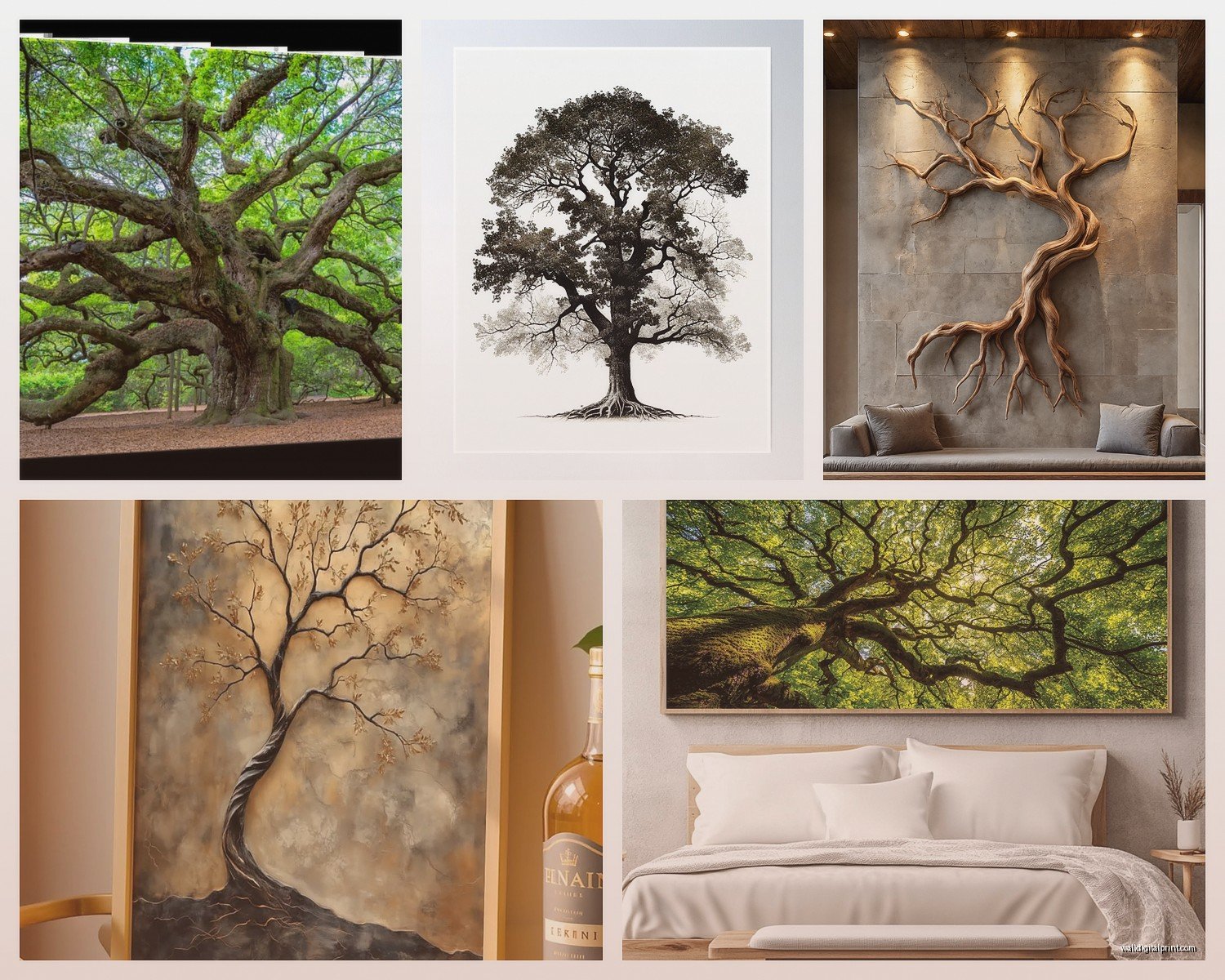 Oak Tree Wall Art: Majestic Tree Nature Photography