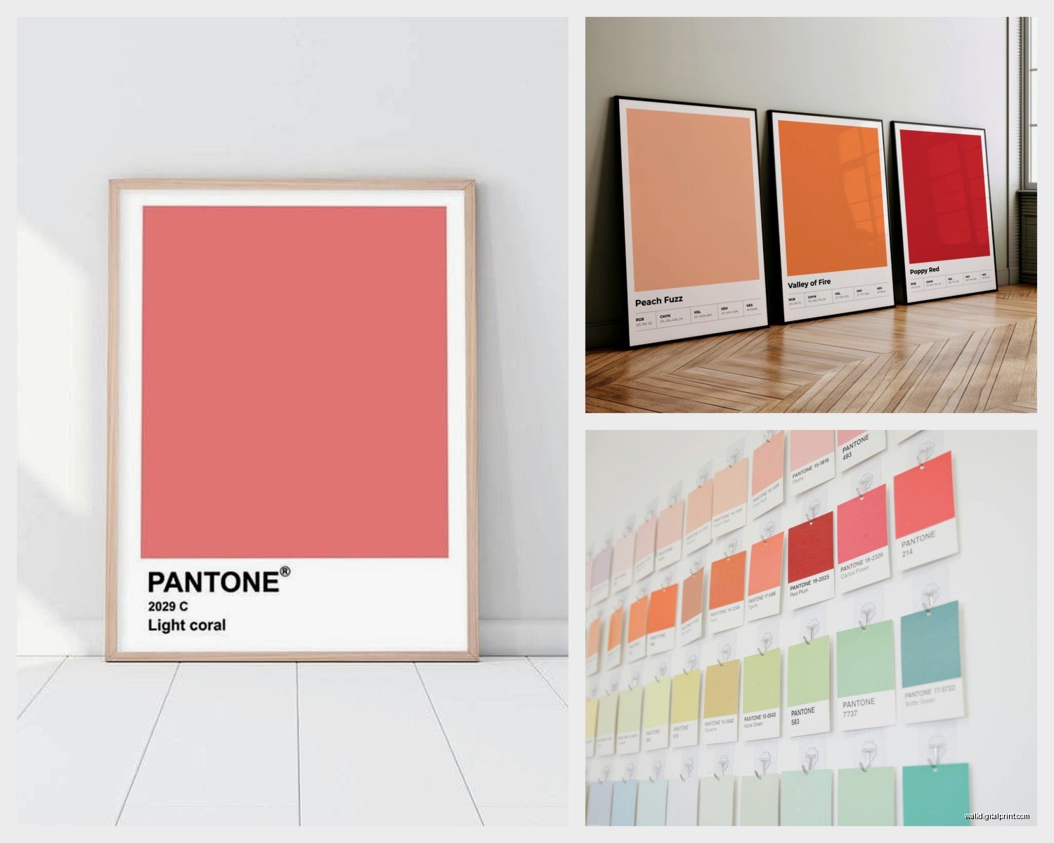 Pantone Wall Art: Color Swatch Designer Decor