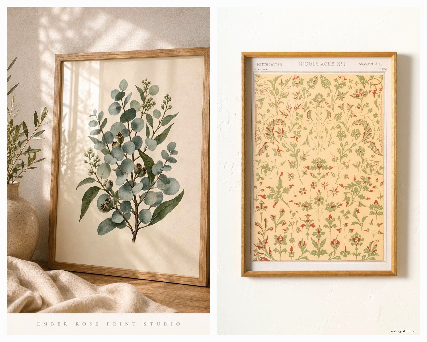 Botanical Prints Wall Art: Plant Scientific Illustrations