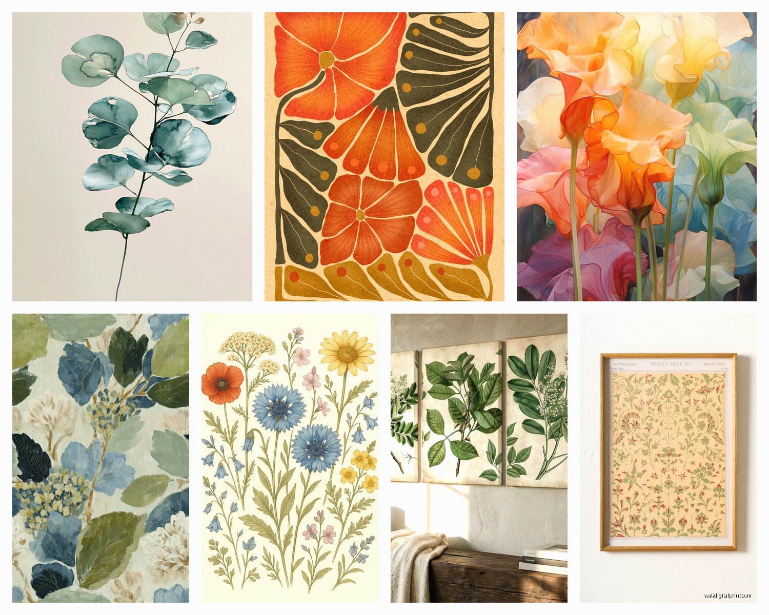 Botanical Prints Wall Art: Plant Scientific Illustrations