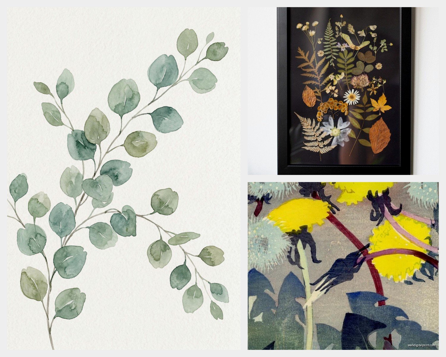 Botanical Wall Art: Plant & Flower Scientific Prints