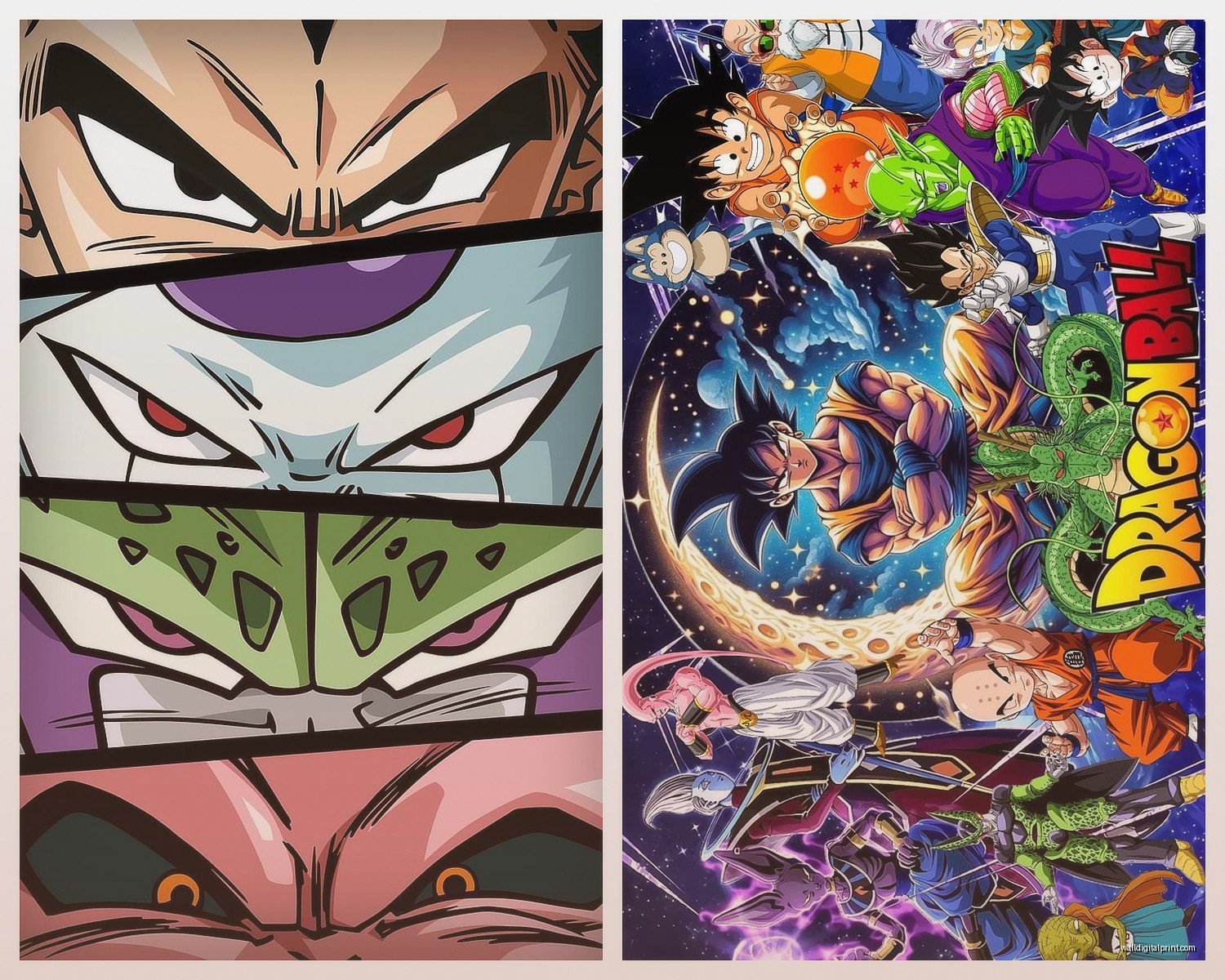 Dragon Ball Z Wall Art: Anime Manga Character Decor