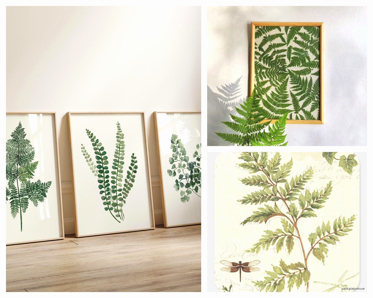 Fern Wall Art: Botanical Green Plant Frond Prints