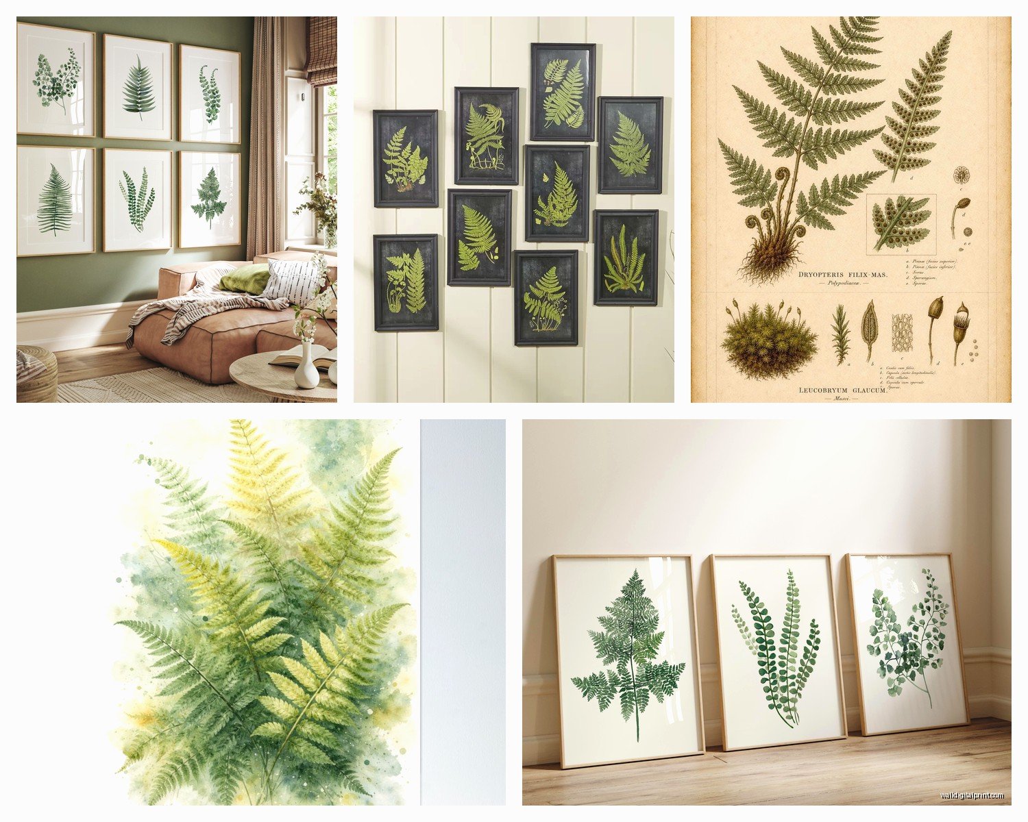 Fern Wall Art: Botanical Green Plant Frond Prints