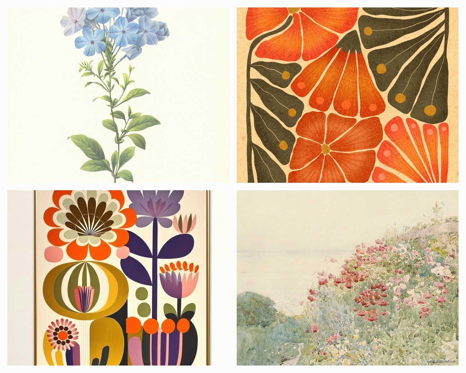 Floral Prints Wall Art: Flower Photography & Illustrations