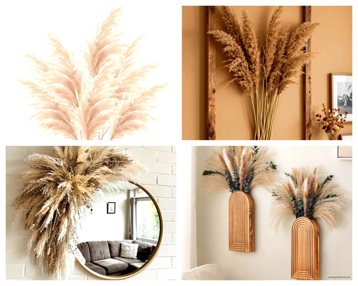 Pampas Grass Wall Art: Bohemian Dried Grass Designs