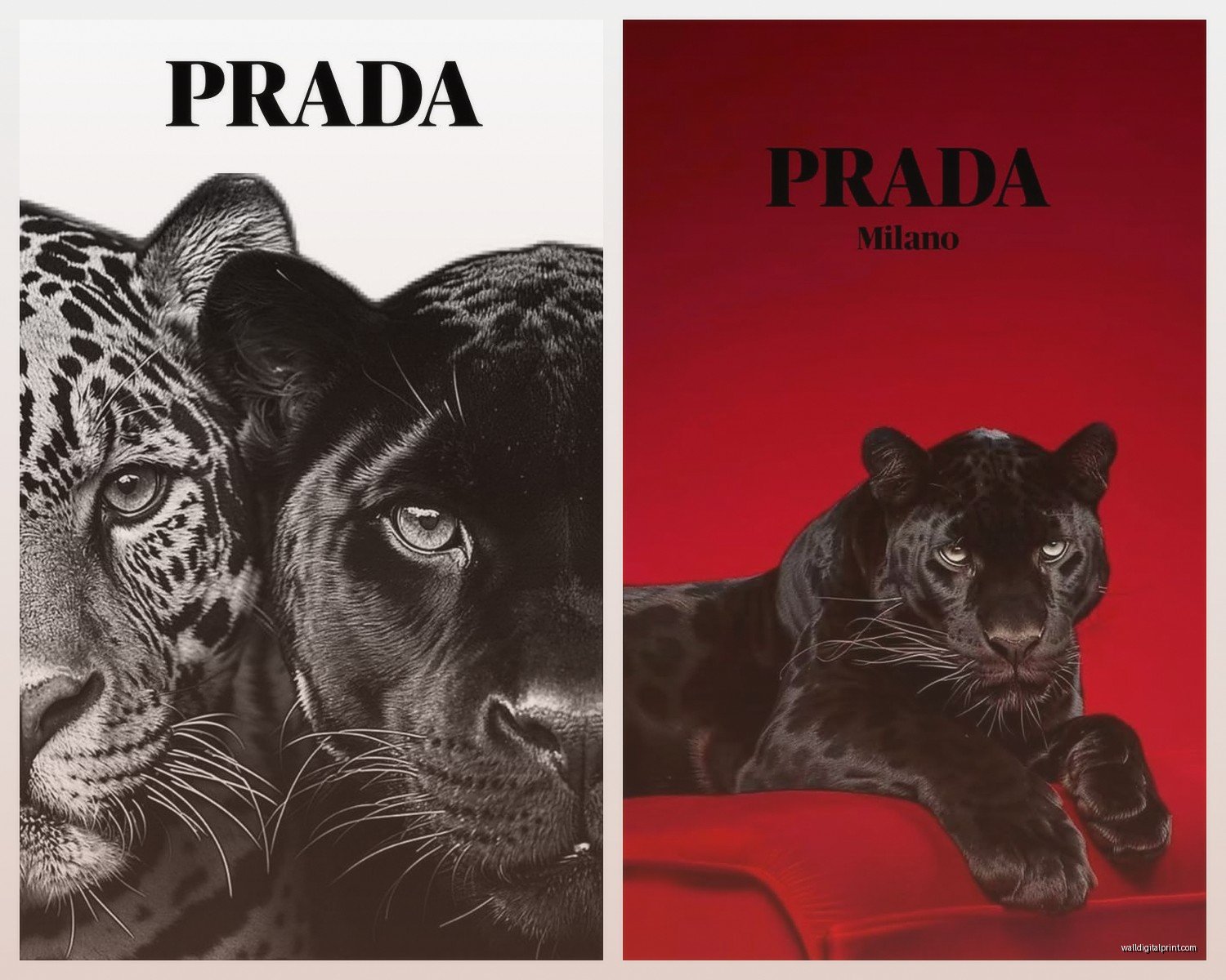 Prada Wall Art: Italian Fashion Luxury Brand Designer