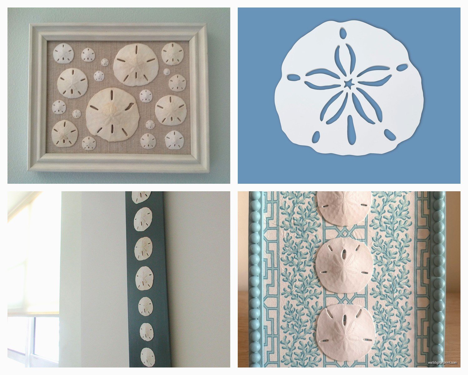 Sand Dollar Wall Art: Beach Shell Coastal Finding Decor
