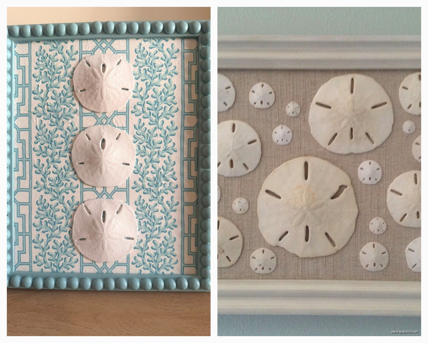 Sand Dollar Wall Art: Beach Shell Coastal Finding Decor