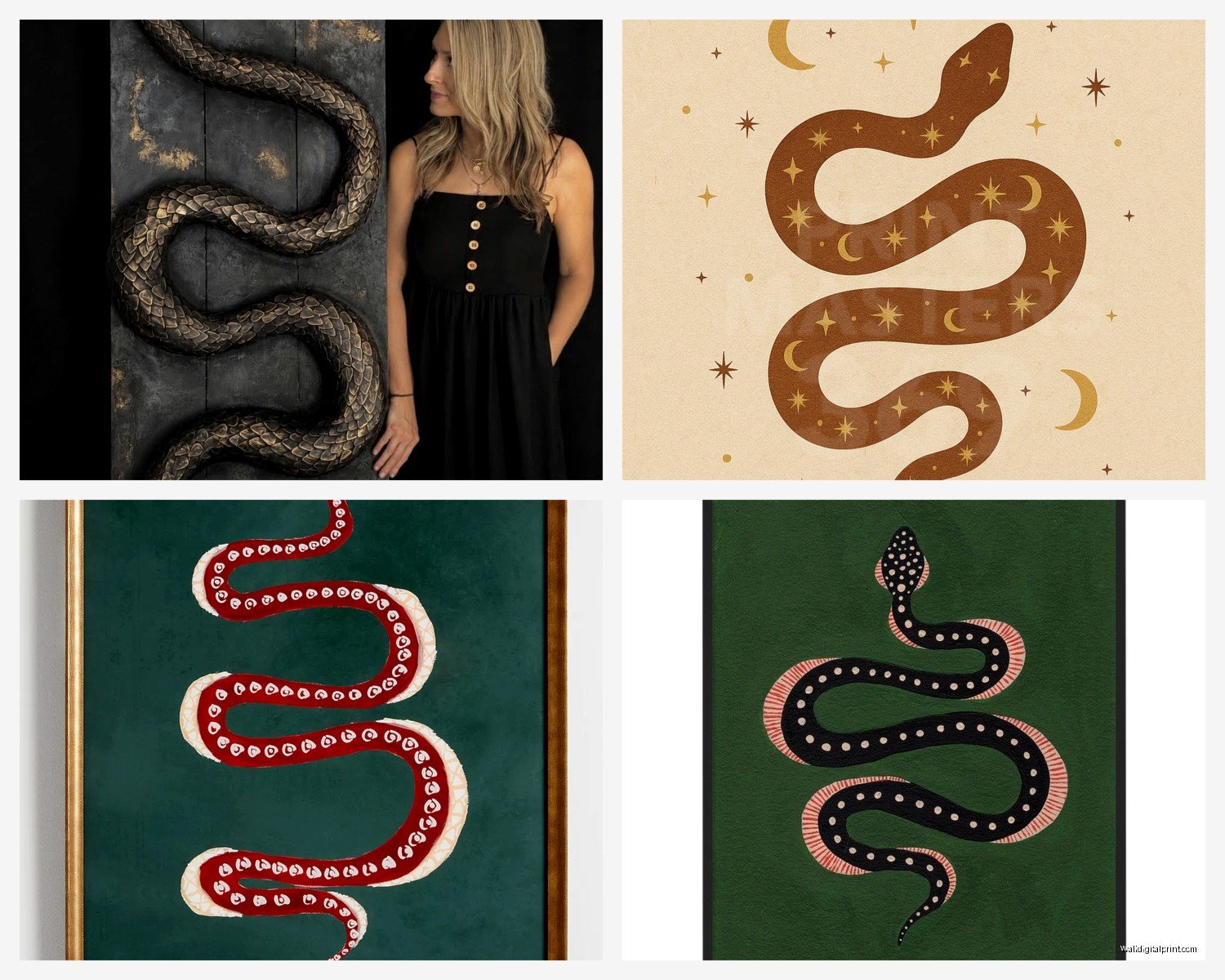 Snake Wall Art: Serpent Reptile Wildlife Decor