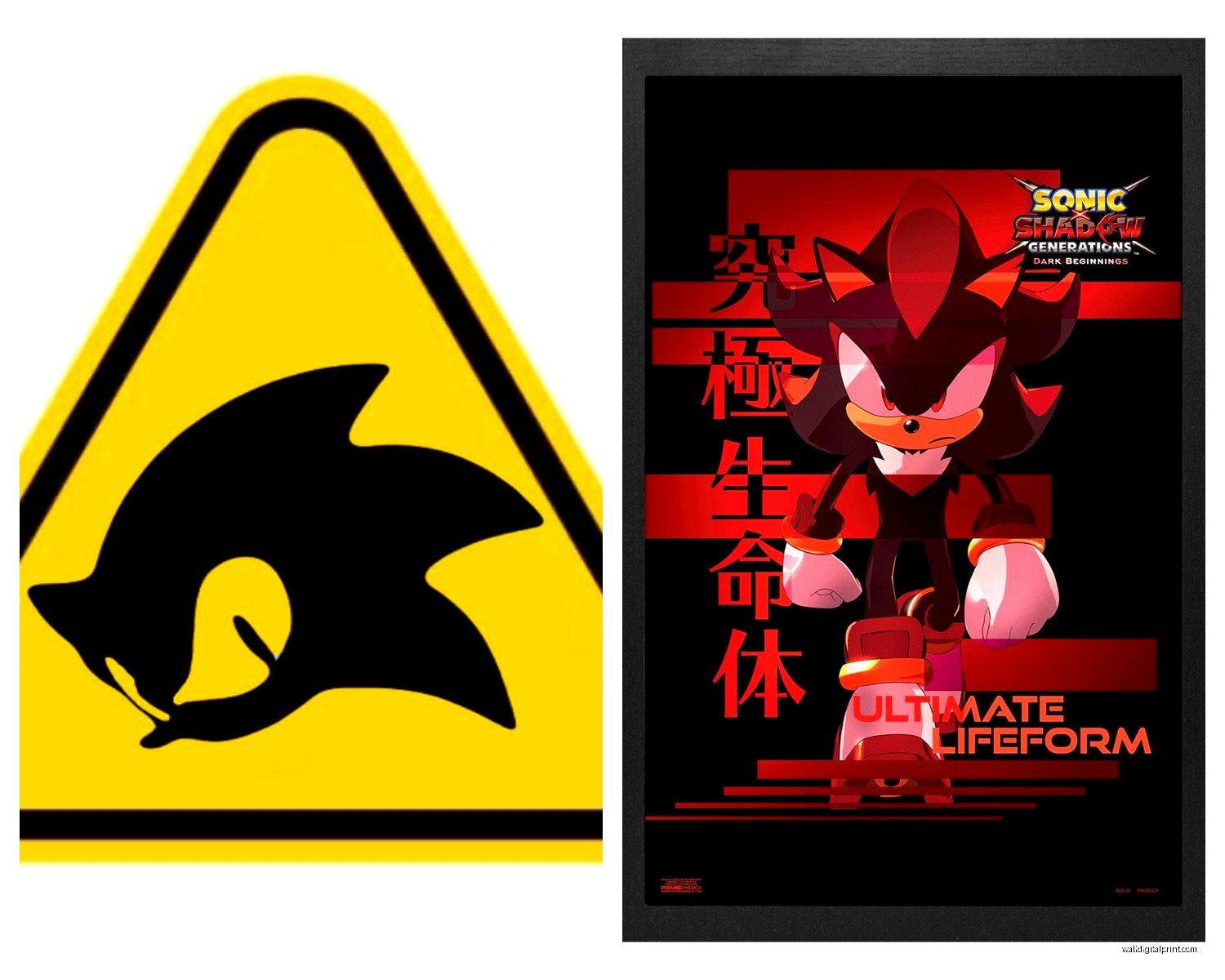 Sonic Wall Art: Video Game Hedgehog Character Decor