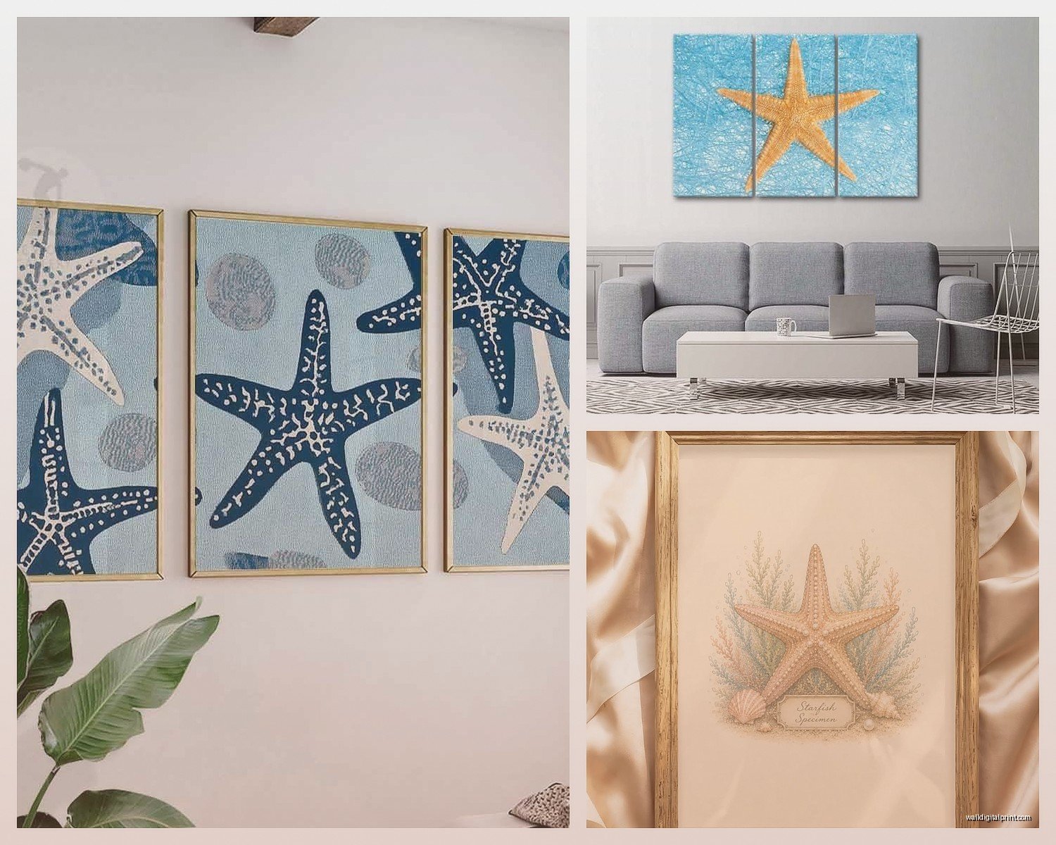 Starfish Wall Art: Beach Ocean Sea Star Coastal Decor