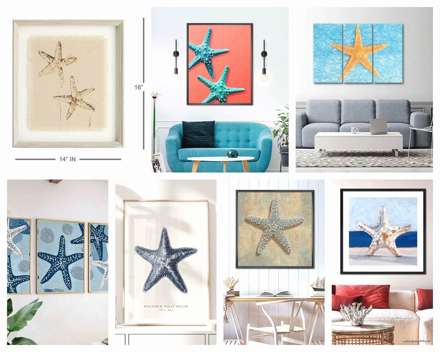 Starfish Wall Art: Beach Ocean Sea Star Coastal Decor