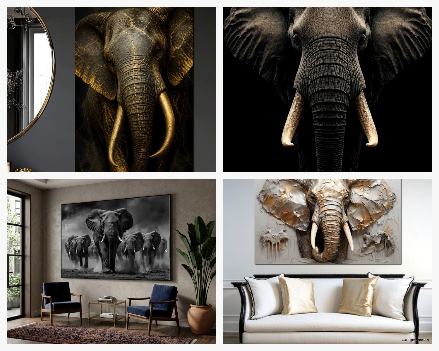Elephant Stock Wall Art: Photography Marketplace Images