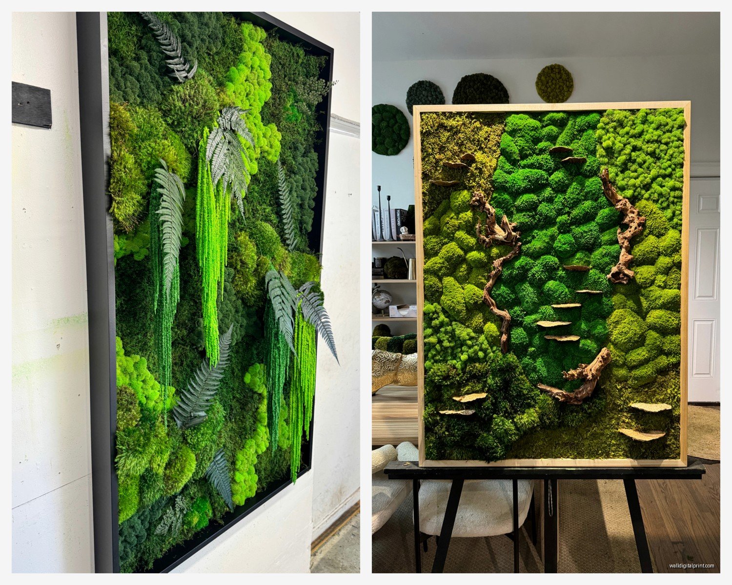 Live Moss Wall Art: Living Plant Green Wall Installation