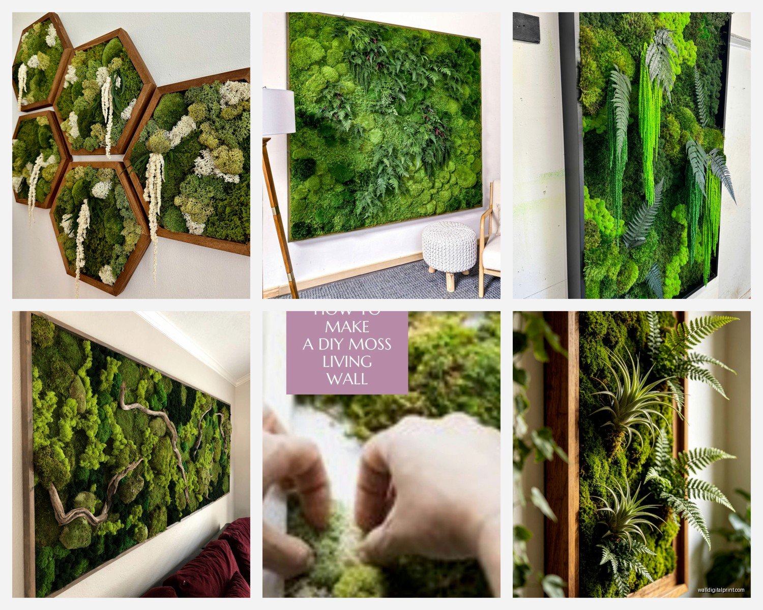 Live Moss Wall Art: Living Plant Green Wall Installation