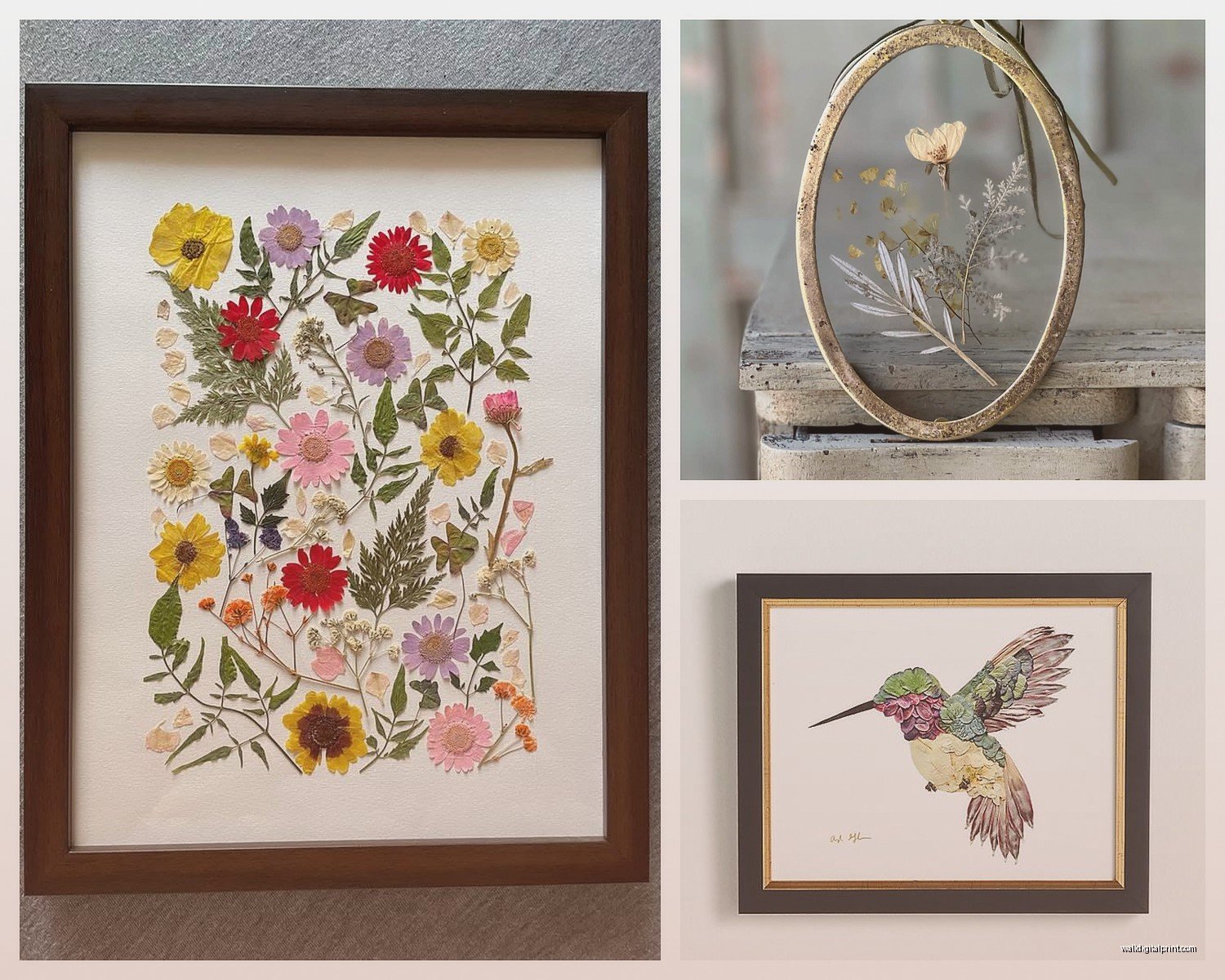 Pressed Flower Wall Art: Dried Preserved Botanical Art