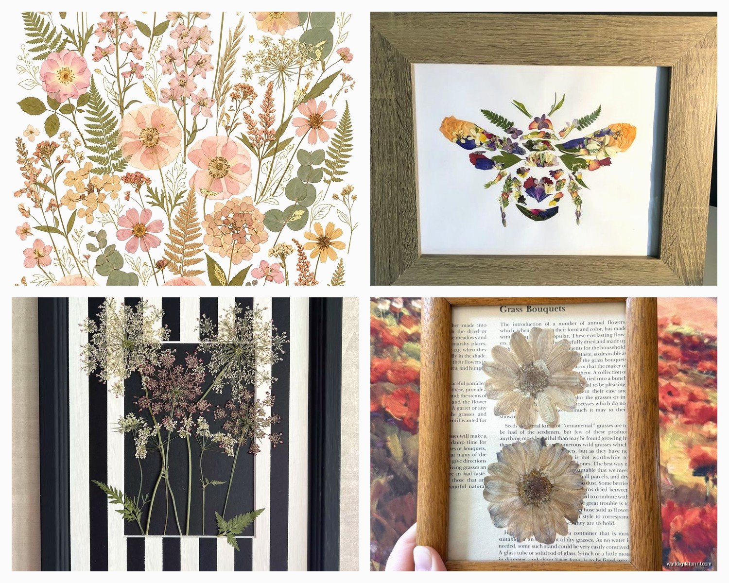 Pressed Flower Wall Art: Dried Preserved Botanical Art