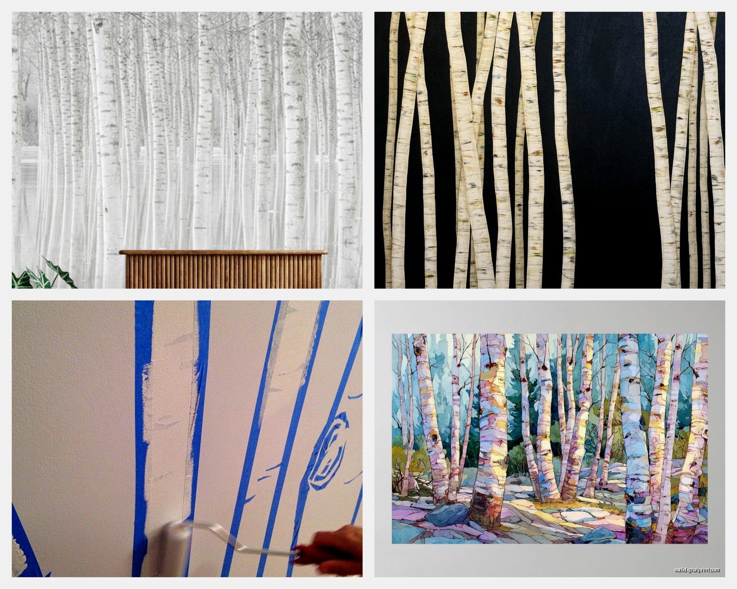 Birch Tree Wall Art: White Bark Forest Winter Landscape