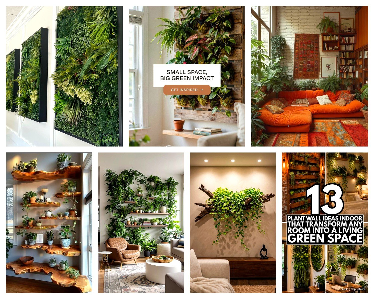 Living Wall Art Indoor: Plant Green Wall Interior Garden