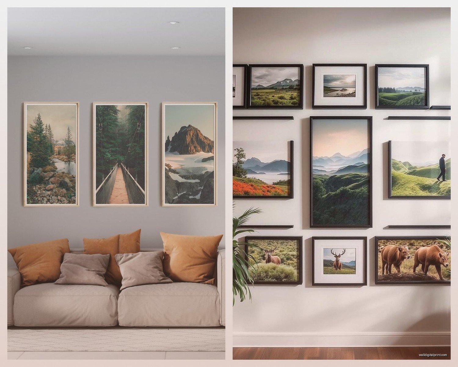 Photography Wall Art: Fine Art Photo Print Display Guide