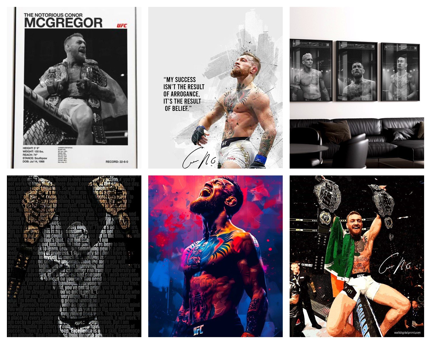 Conor McGregor Wall Art: UFC Fighter MMA Notorious Icon