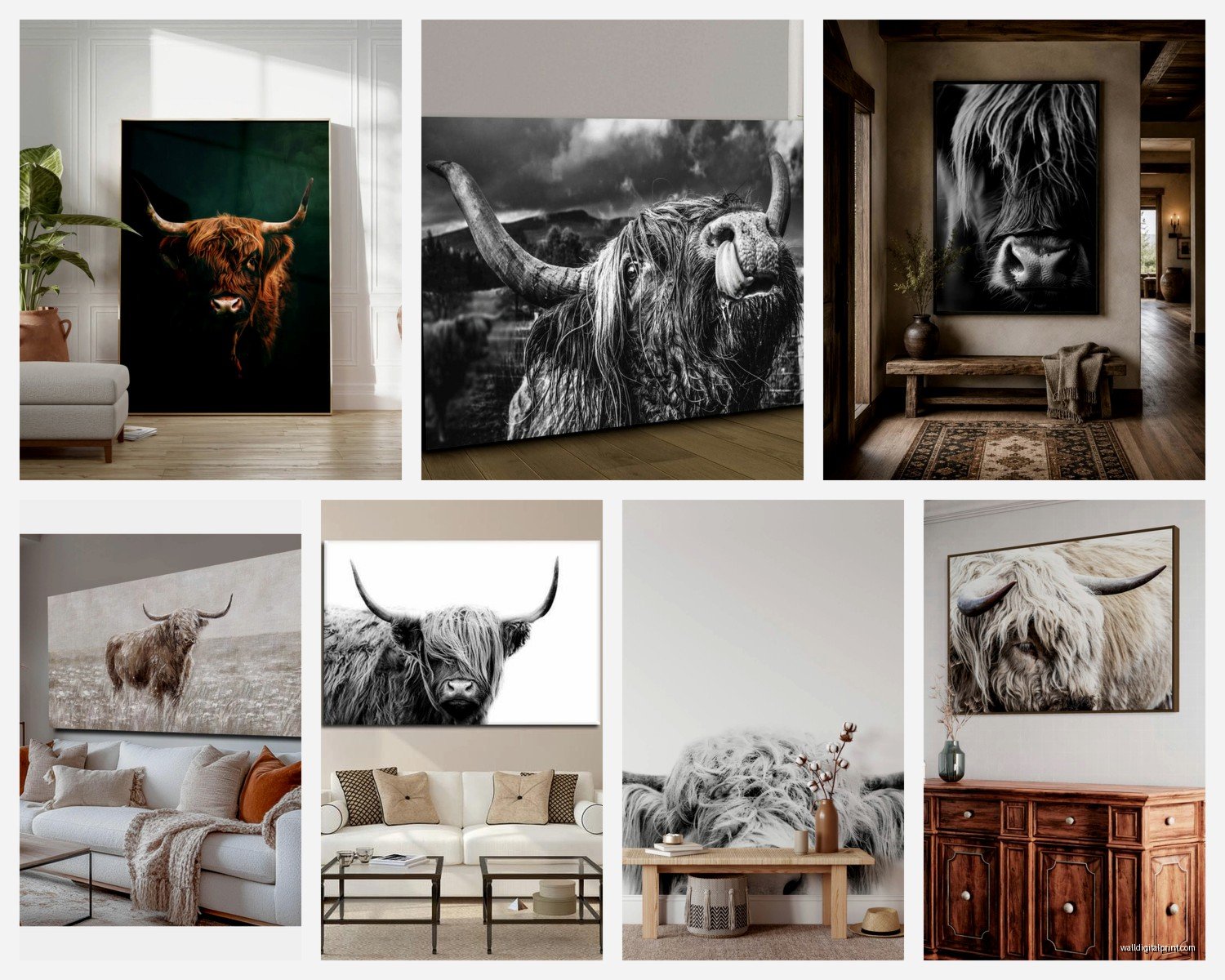 Large Highland Cow Wall Art: Oversized Scottish Cattle Designs
